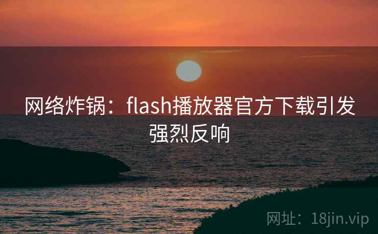 网络炸锅：flash播放器官方下载引发强烈反响  第2张