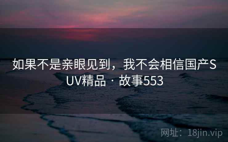 如果不是亲眼见到，我不会相信国产SUV精品 · 故事553