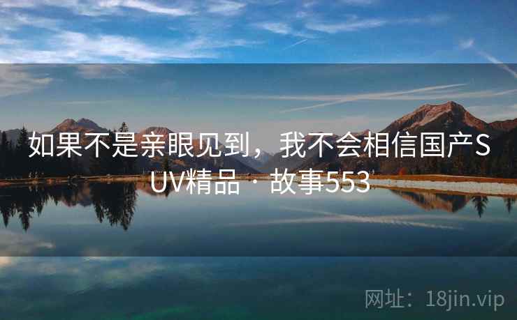 如果不是亲眼见到，我不会相信国产SUV精品 · 故事553  第2张